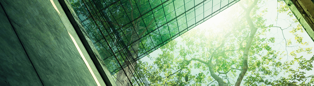 environment social governance building sunlight through trees